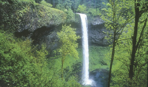 Silver Falls Loop